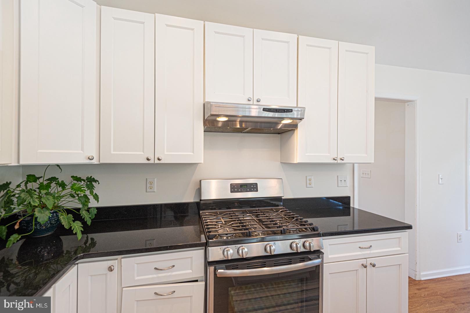 12503 West Torquay Road Ocean City, MD 21842 - Photo 52 of 69 Gallery Image 52