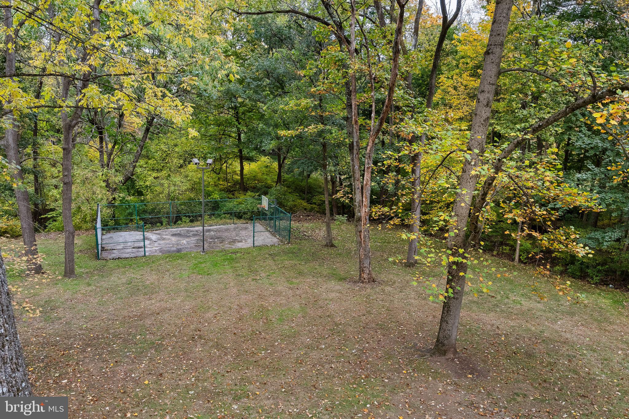 484 King Of Prussia Road Wayne, PA 19087 - Photo 81 of 98 a view of a forest with trees