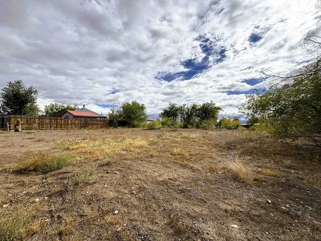 a view of a field with trees