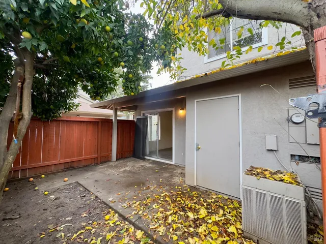 a wooden door covered with tall trees