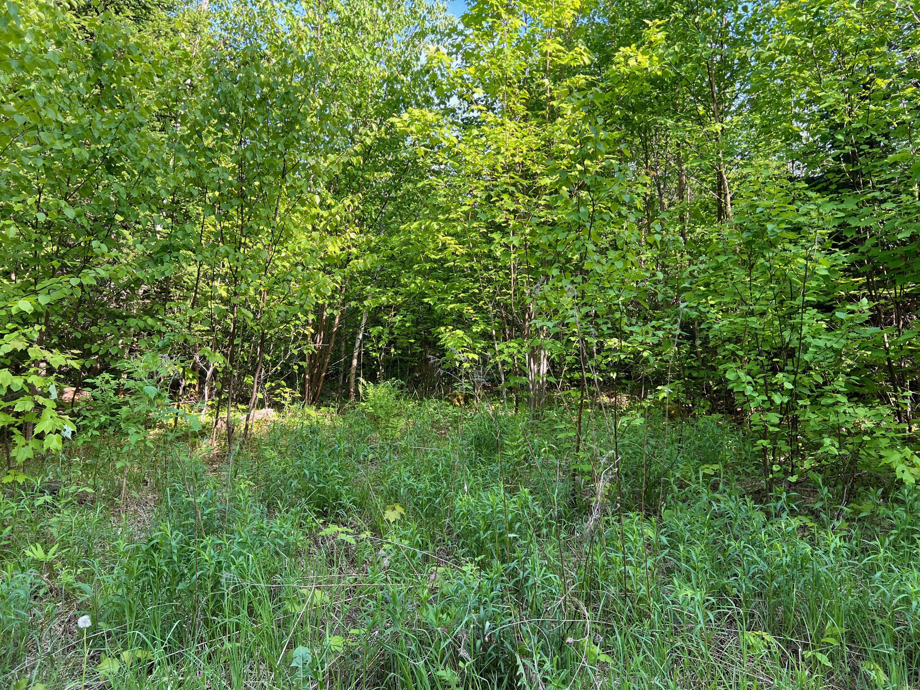 60 Hutchinson Road Linneus, ME 04730 - Photo 13 of 20 IMG_4279