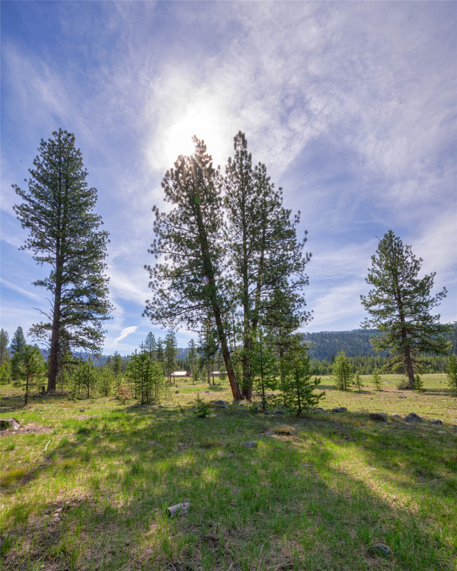 2766 East Fork Road Sula, MT 59871 - Photo 20 of 46 Gallery Image 20