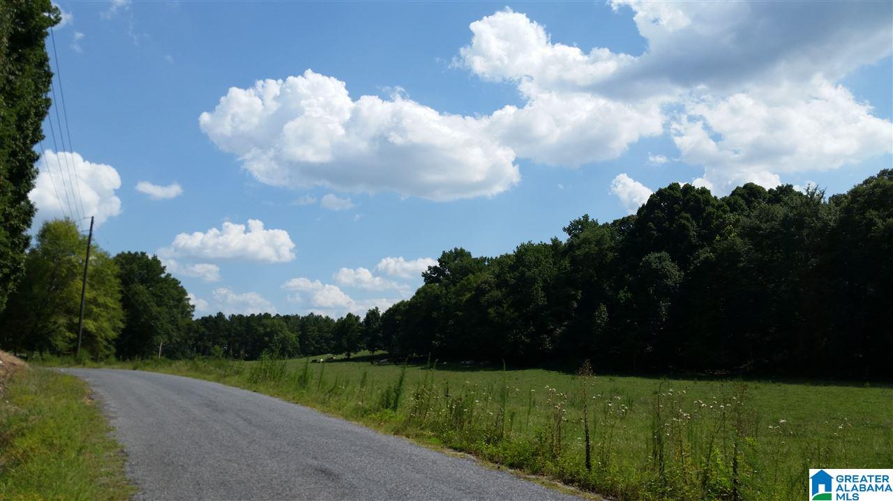 1885 Brooks Lake Road Lincoln, AL 35096 - Photo 3 of 30