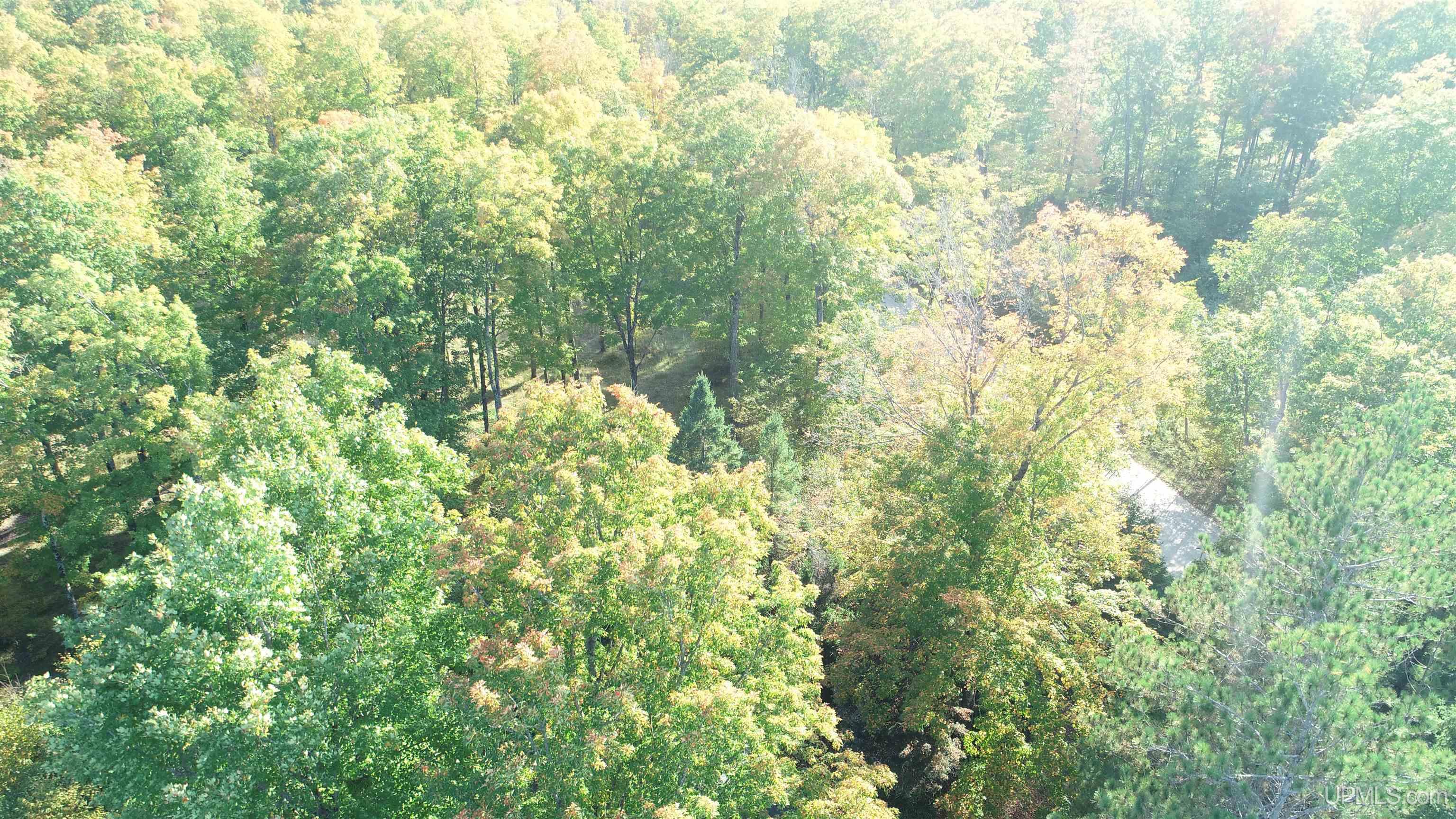 18856 Vega Road Hermansville, MI 49847 - Photo 10 of 23