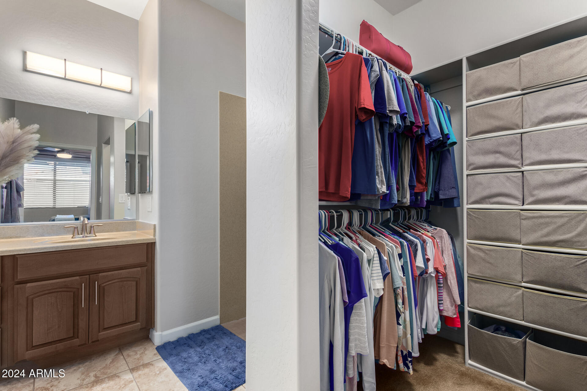 3117 South Signal Butte Road, Unit 508 Mesa, AZ 85212 - Photo 16 of 43 Primary Closet Bath View
