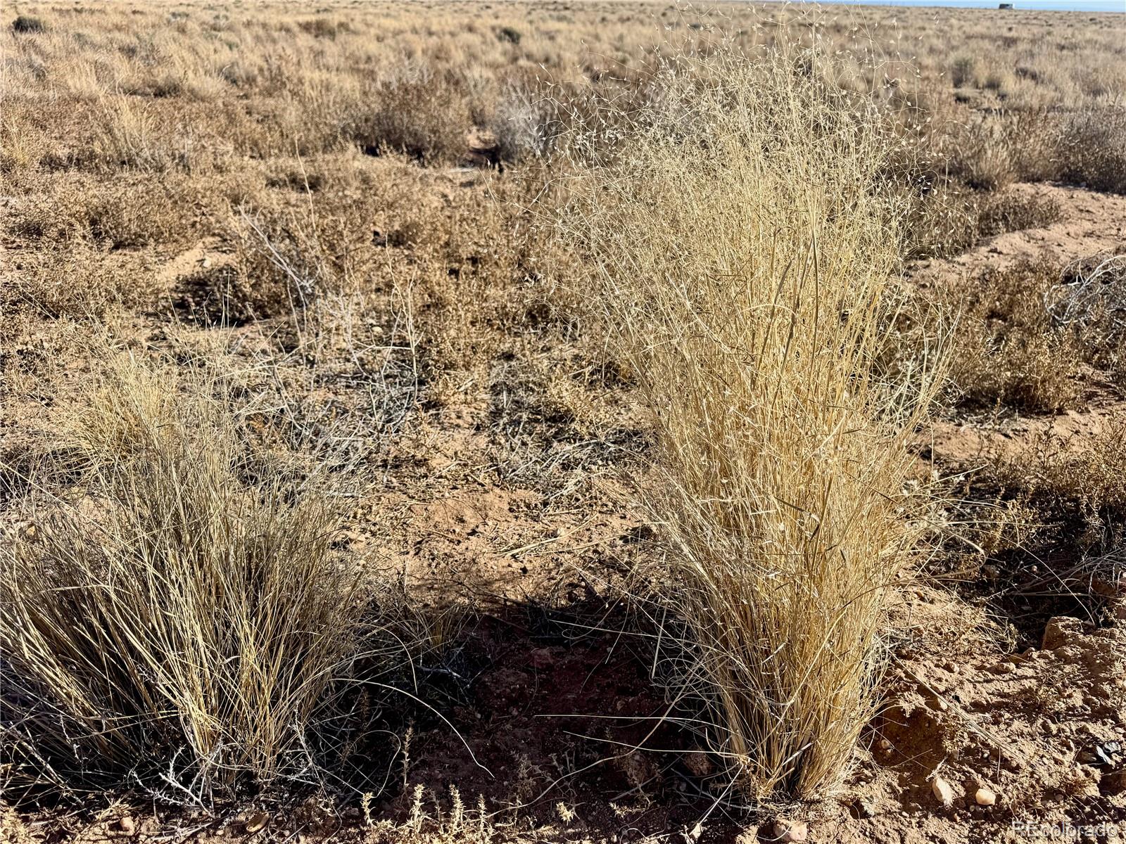 Lot 16 Fort Morgan Road Blanca, CO 81123 - Photo 11 of 13 a view of a yard