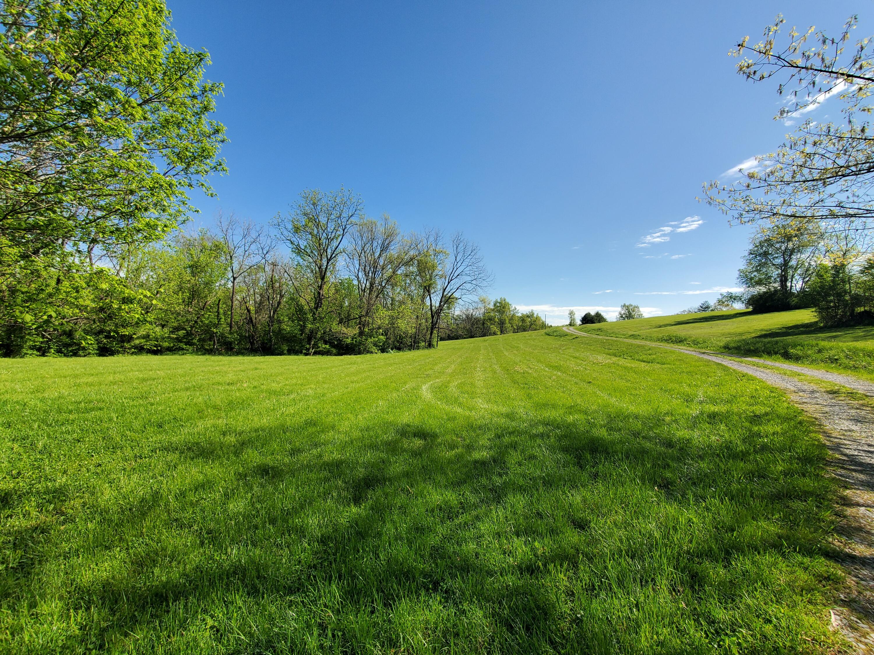 1010 Galloway Road Georgetown, KY 40324 - Photo 46 of 63 20250428_102403