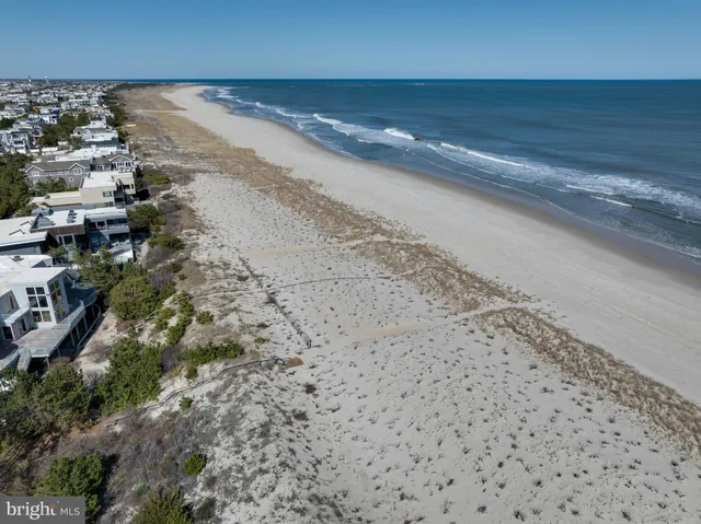 a view of a dry yard with wooden fence