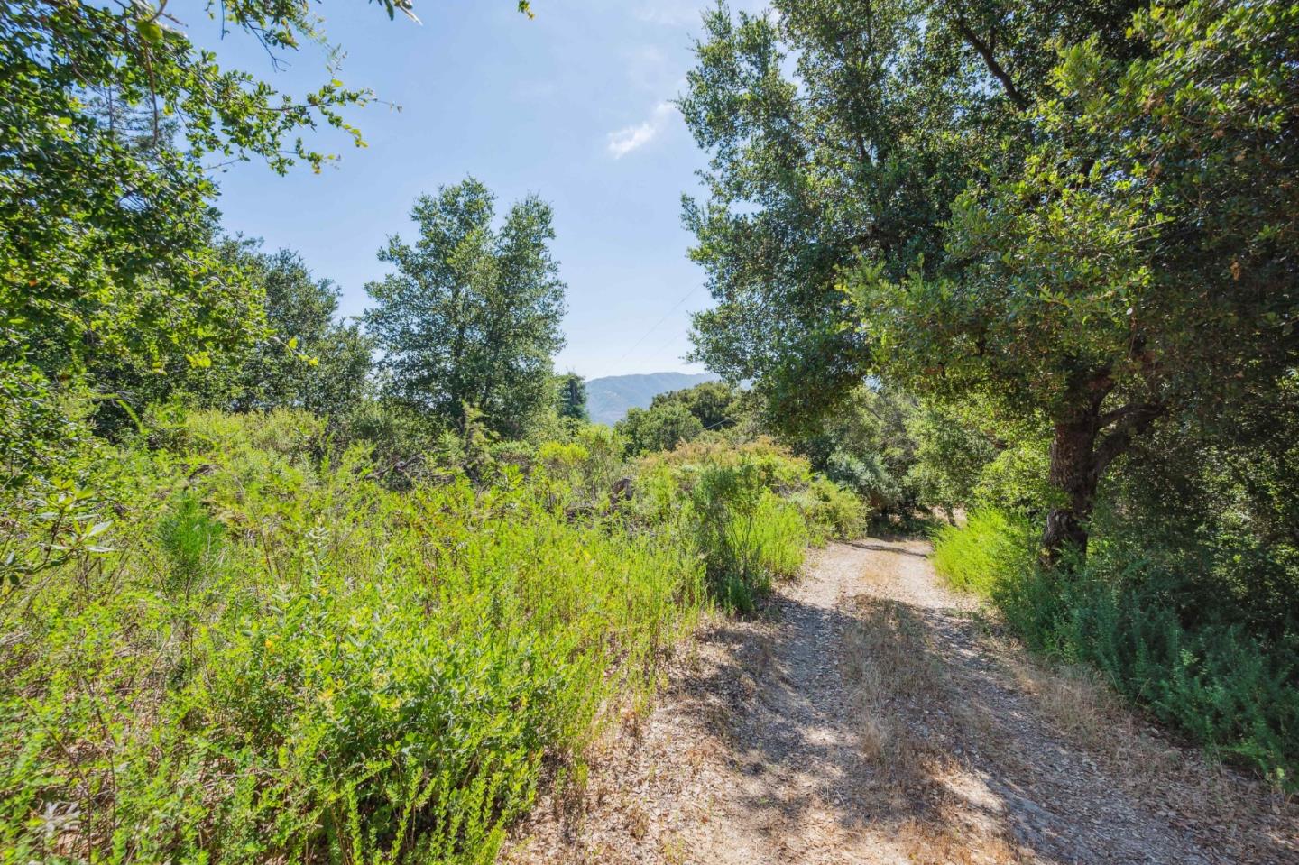 0 Montevina Road Los Gatos, CA 95033 - Photo 5 of 23