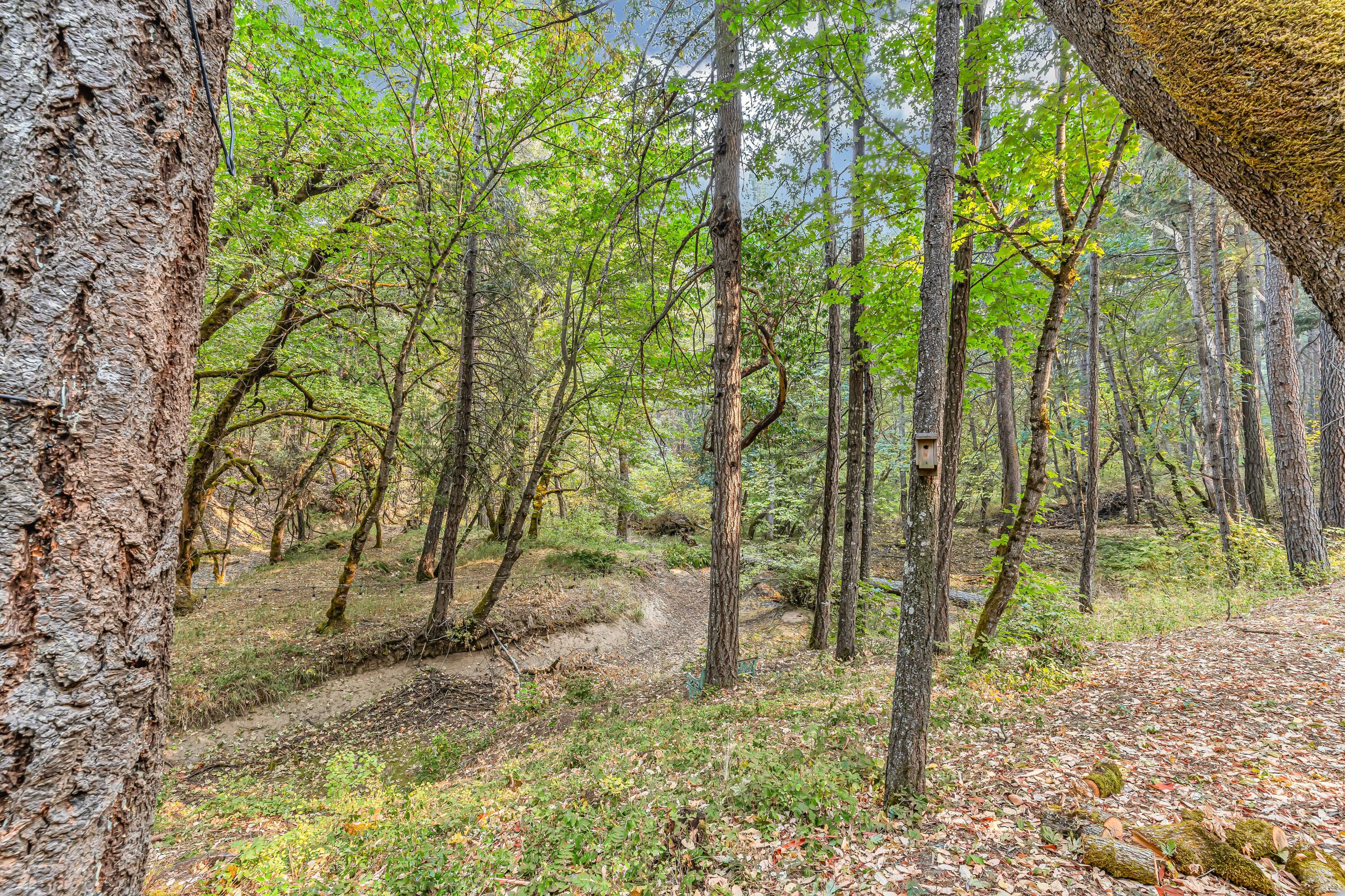 3435 Wards Creek Road Rogue River, OR 97537 - Photo 40 of 61 41
