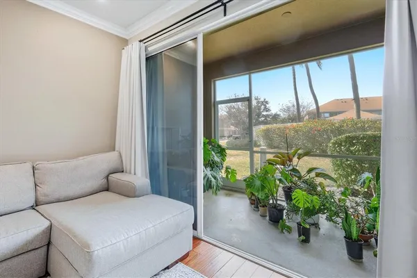 a living room with a couch and a potted plant
