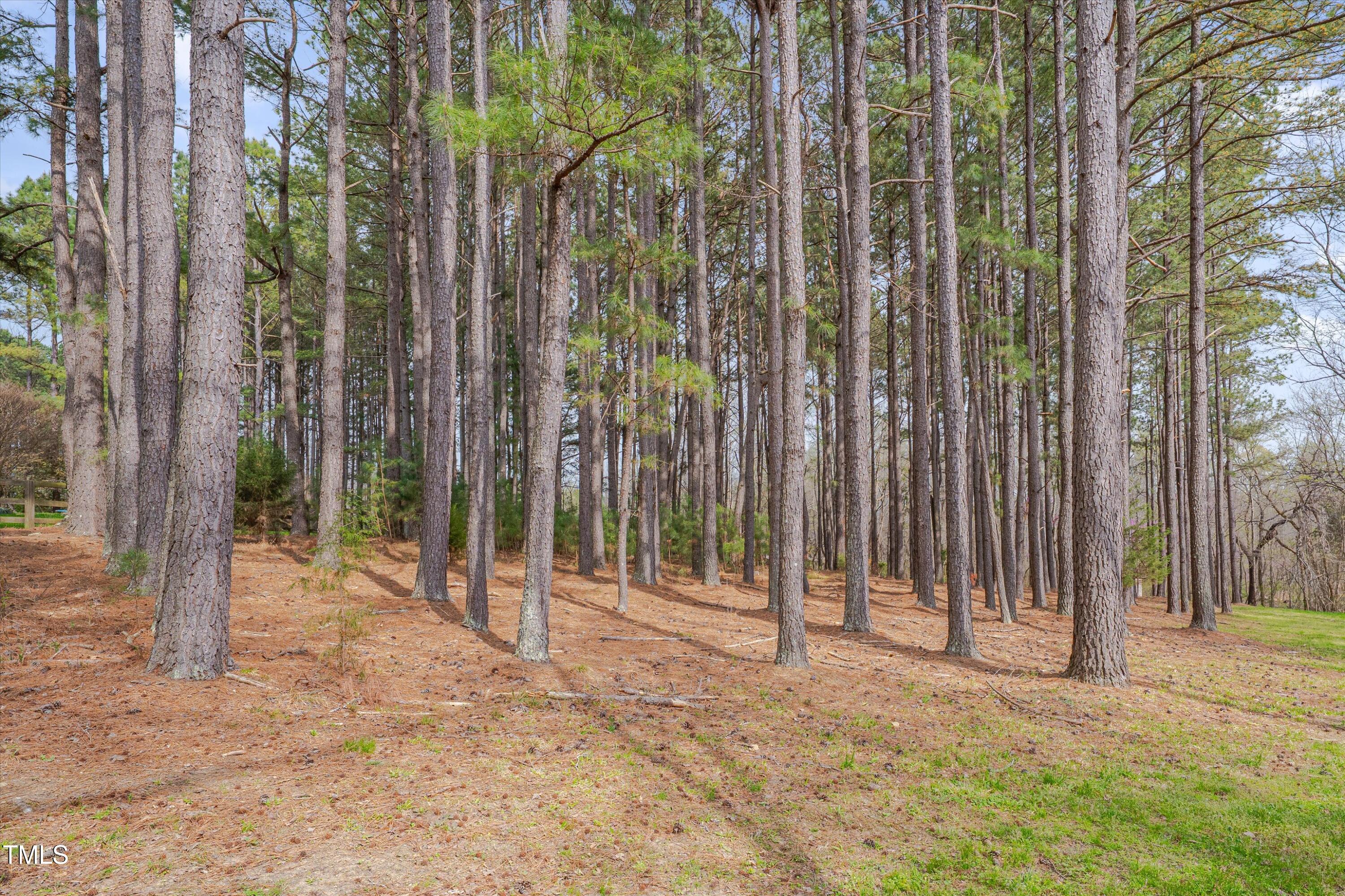 2411 Lynch Store Road Mebane, NC 27302 - Photo 50 of 52 51-2411 Lynch Store-51