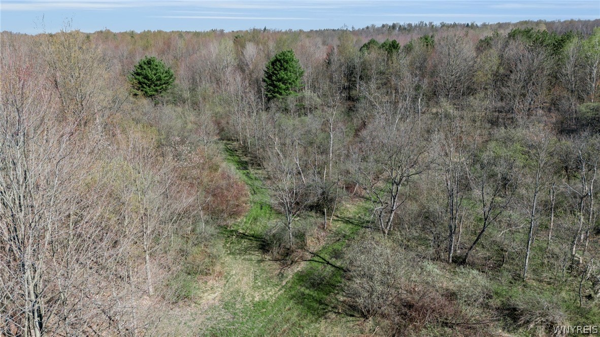 1889 Church Road Bennington, NY 14040 - Photo 48 of 50