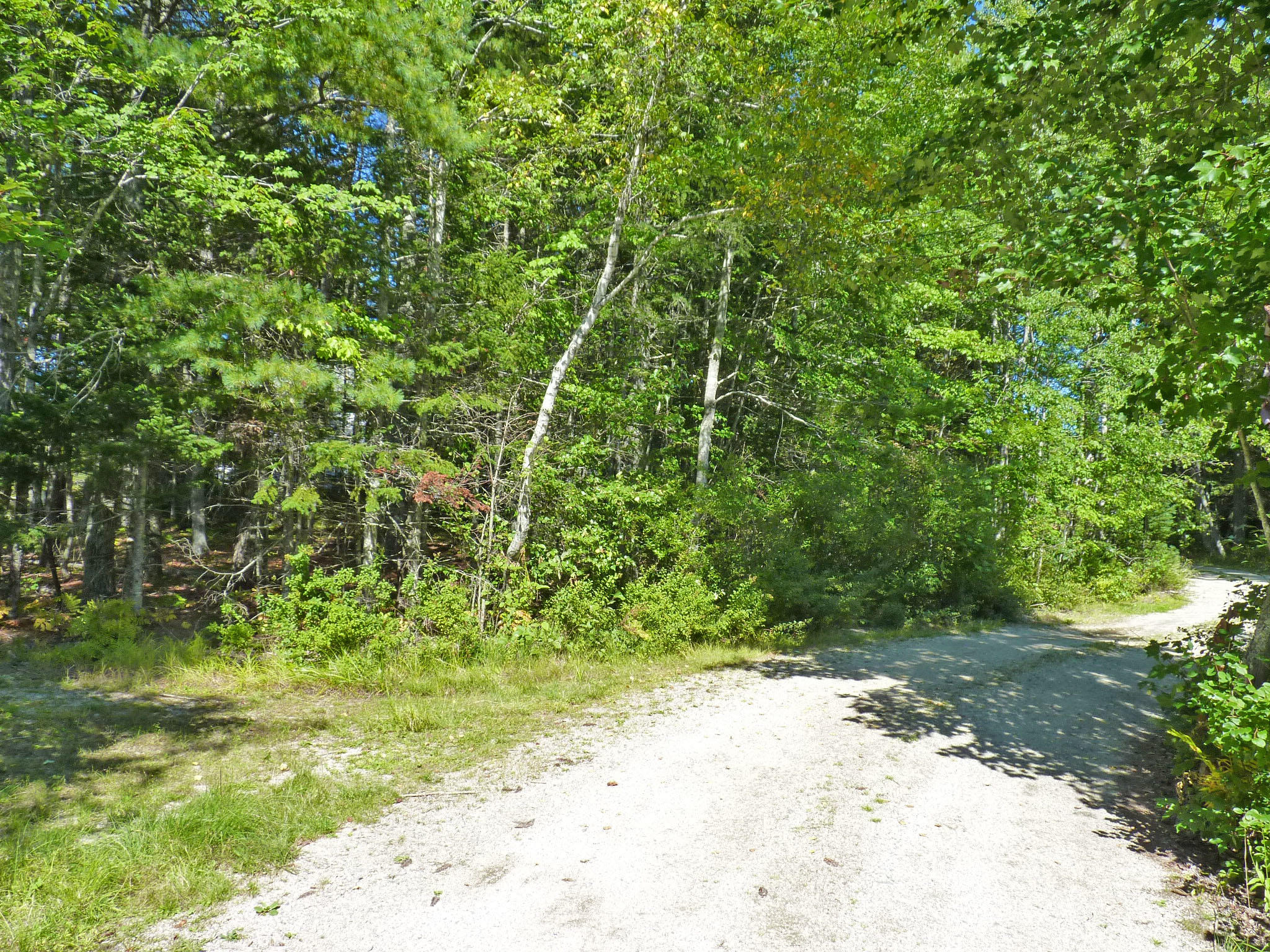 0 Bunker's Beach Road Franklin, ME 04634 - Photo 6 of 12 1f