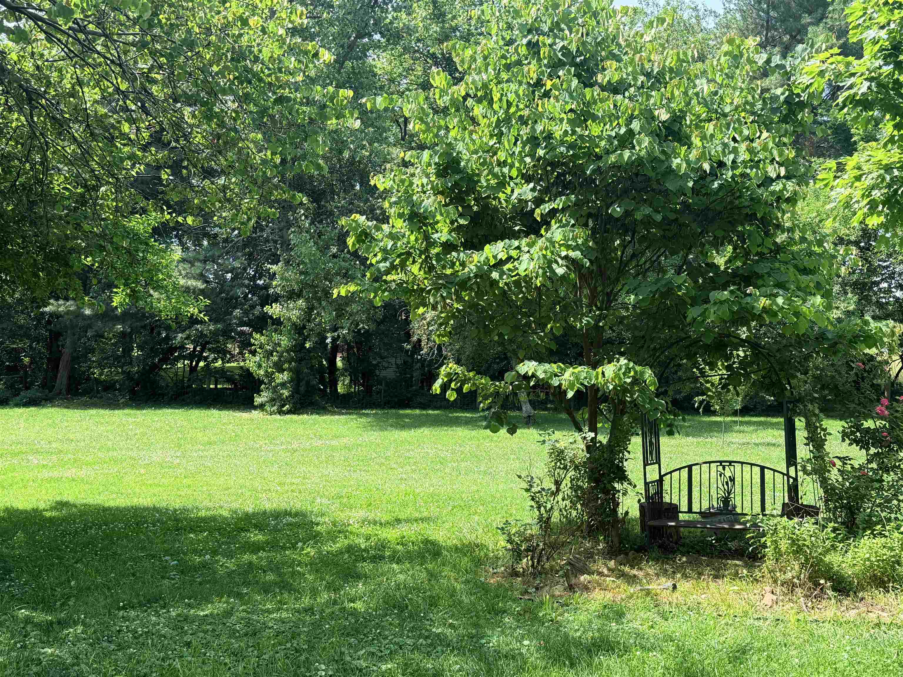 574 Jiggady Road New Market, VA 22844 - Photo 55 of 75