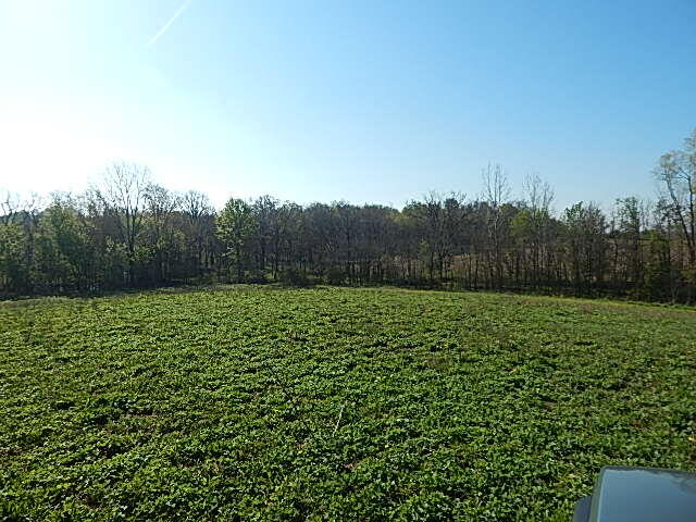 8833 West Territorial Road Montgomery, MI 49255 - Photo 14 of 14 DSCN1885