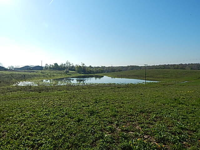 8833 West Territorial Road Montgomery, MI 49255 - Photo 2 of 14 DSCN1873