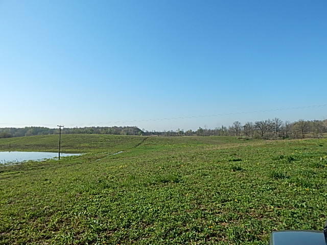 8833 West Territorial Road Montgomery, MI 49255 - Photo 3 of 14 DSCN1874