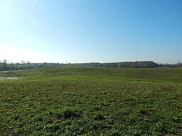 $325,000 | 8833 West Territorial Road, Montgomery, MI 49255