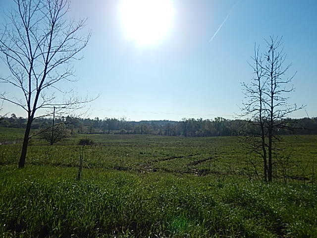 8833 West Territorial Road Montgomery, MI 49255 - Photo 8 of 14 DSCN1879