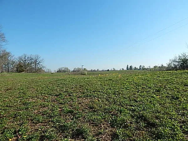 $325,000 | 8833 West Territorial Road, Montgomery, MI 49255