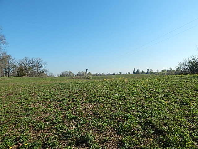 8833 West Territorial Road Montgomery, MI 49255 - Photo 10 of 14 DSCN1881