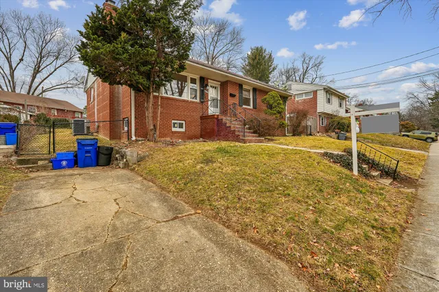 a view of road with trees