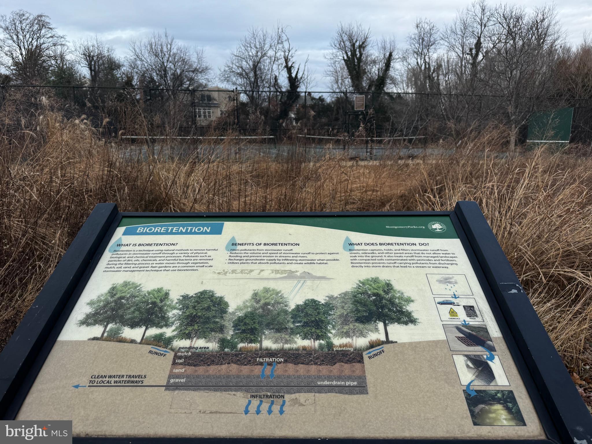 10502 Glenhaven Drive Silver Spring, MD 20902 - Photo 30 of 38