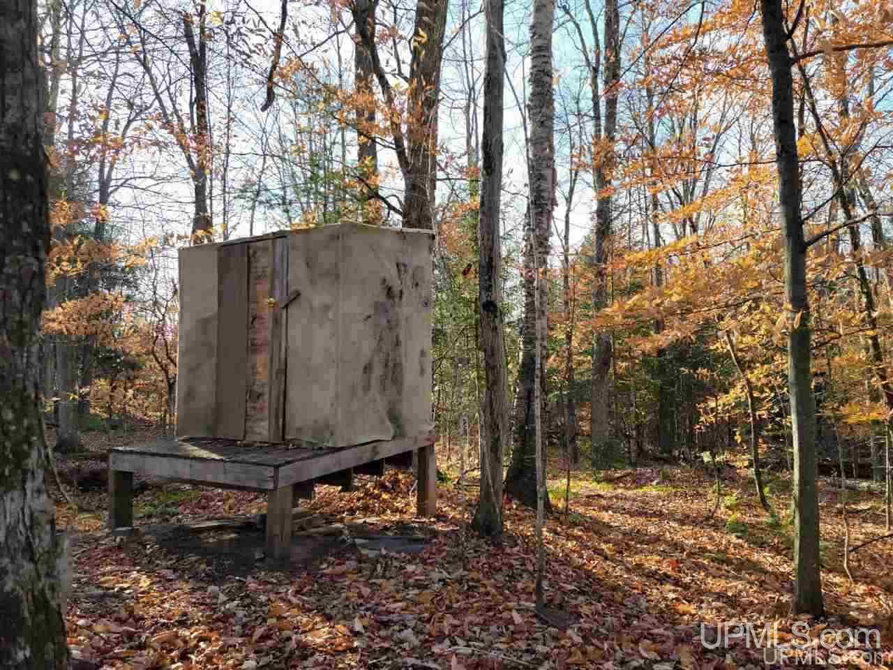 7014 West Co Road Manistique, MI 49854 - Photo 24 of 25