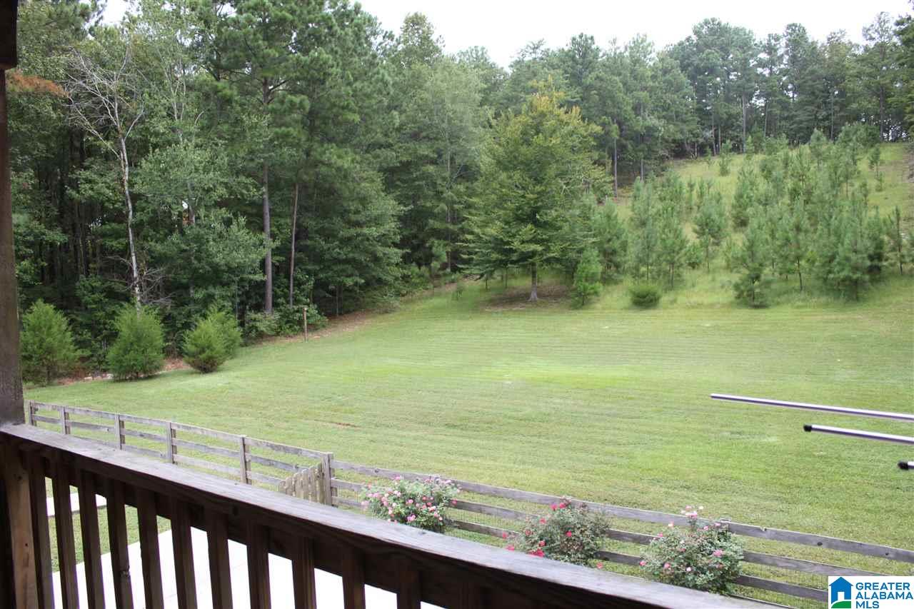 592 County Road 43 Clanton, AL 35046 - Photo 24 of 30