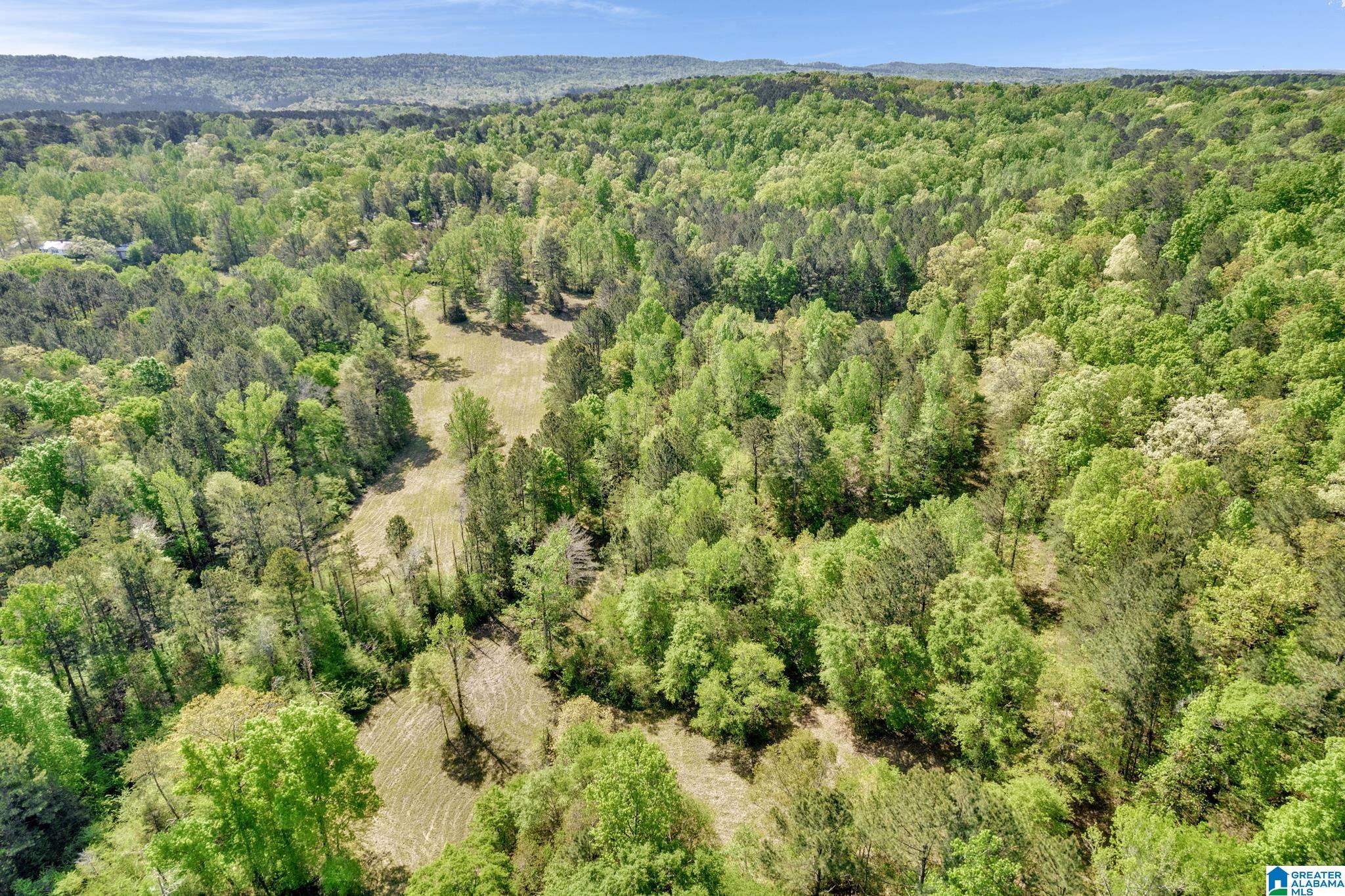 6776 New Castle Road Morris, AL 35116 - Photo 31 of 39