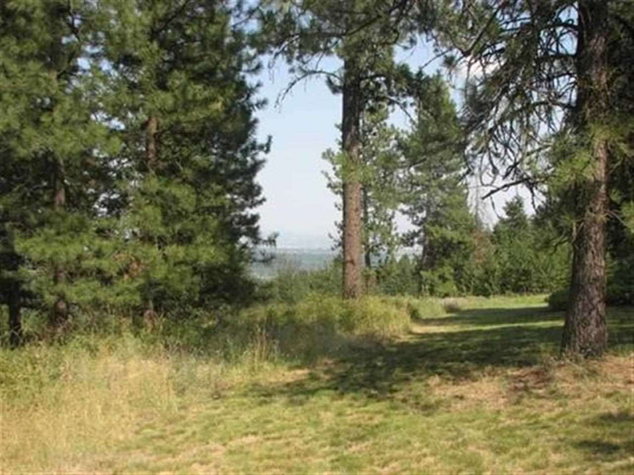 10616 North Berridae Road Spokane, WA 99208 - Photo 1 of 5