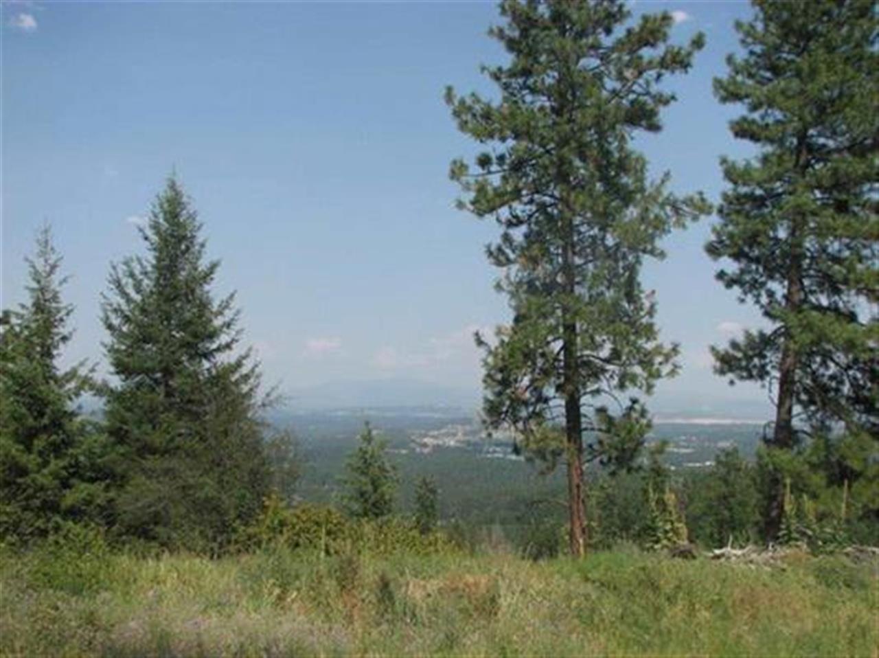 10616 North Berridae Road Spokane, WA 99208 - Photo 2 of 5