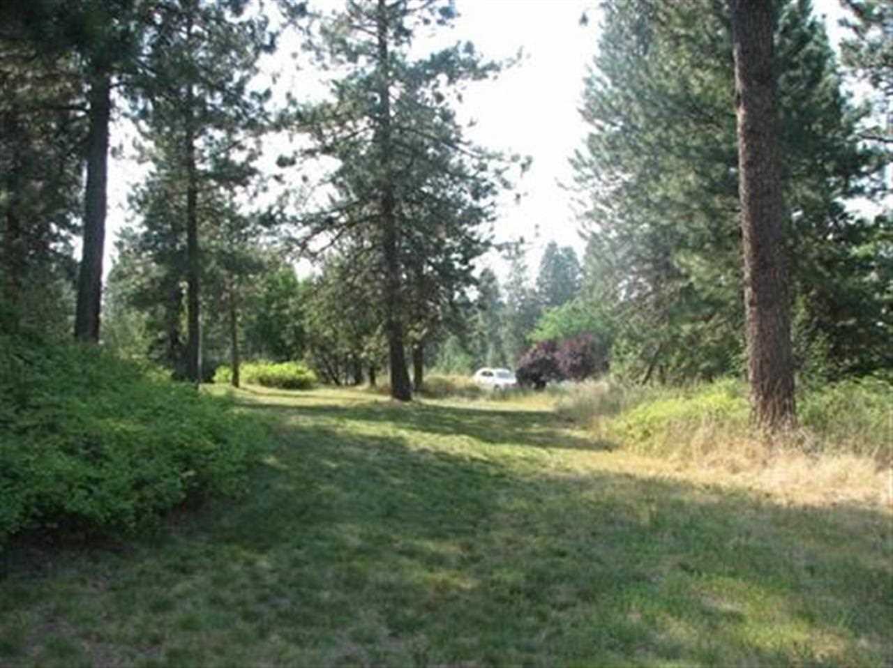 10616 North Berridae Road Spokane, WA 99208 - Photo 5 of 5
