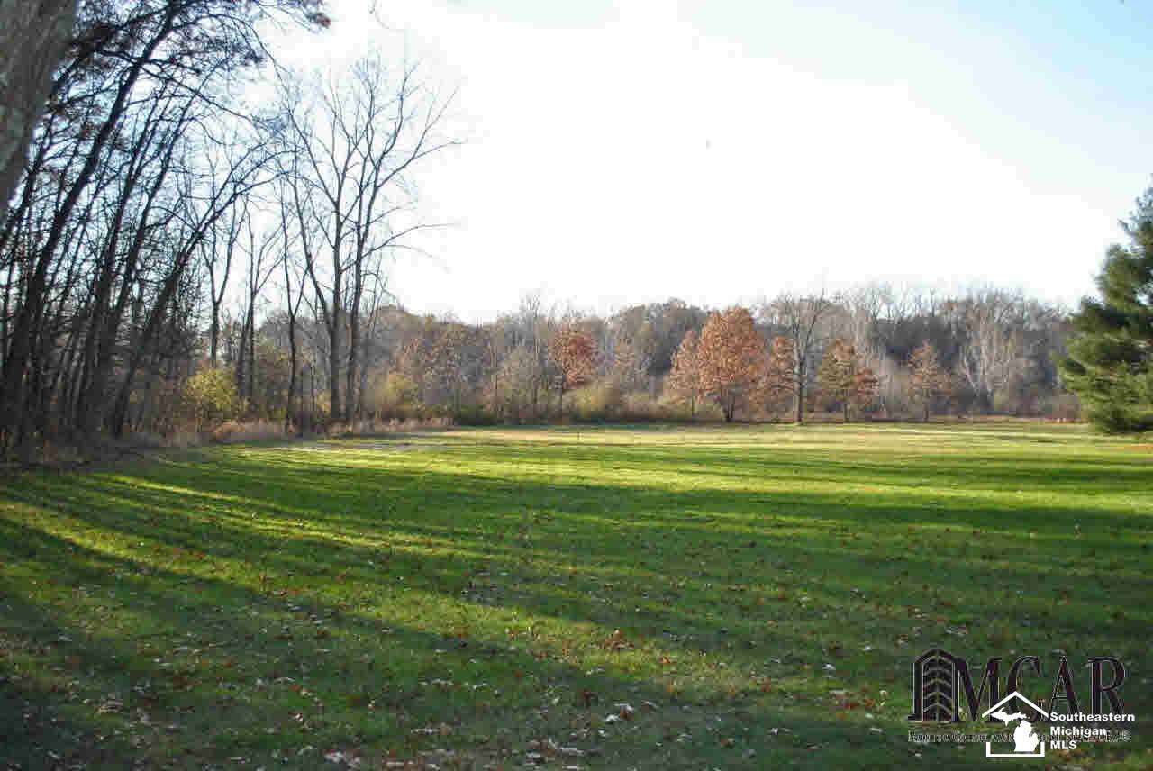 4444 Douglas Road Ida, MI 48140 - Photo 28 of 36