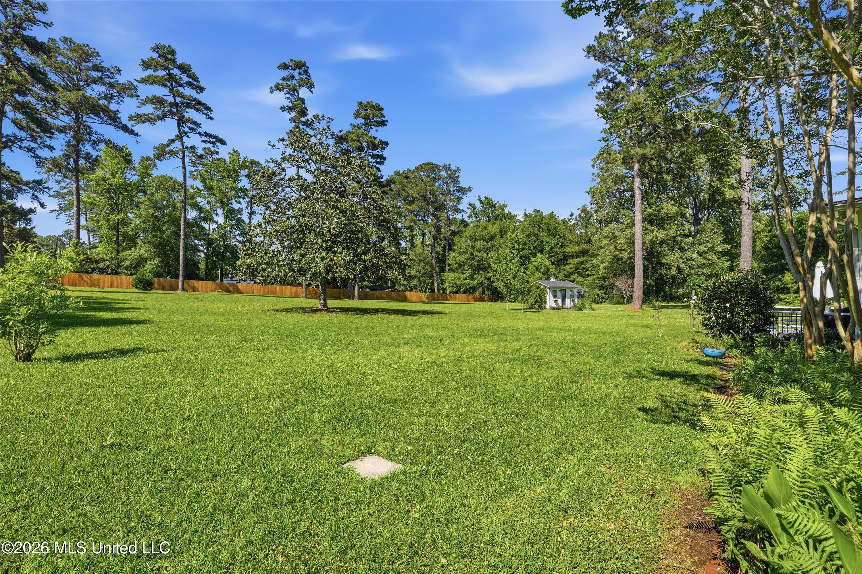 100 City Limits Road Brandon, MS 39042 - Photo 58 of 70 Flat backyard