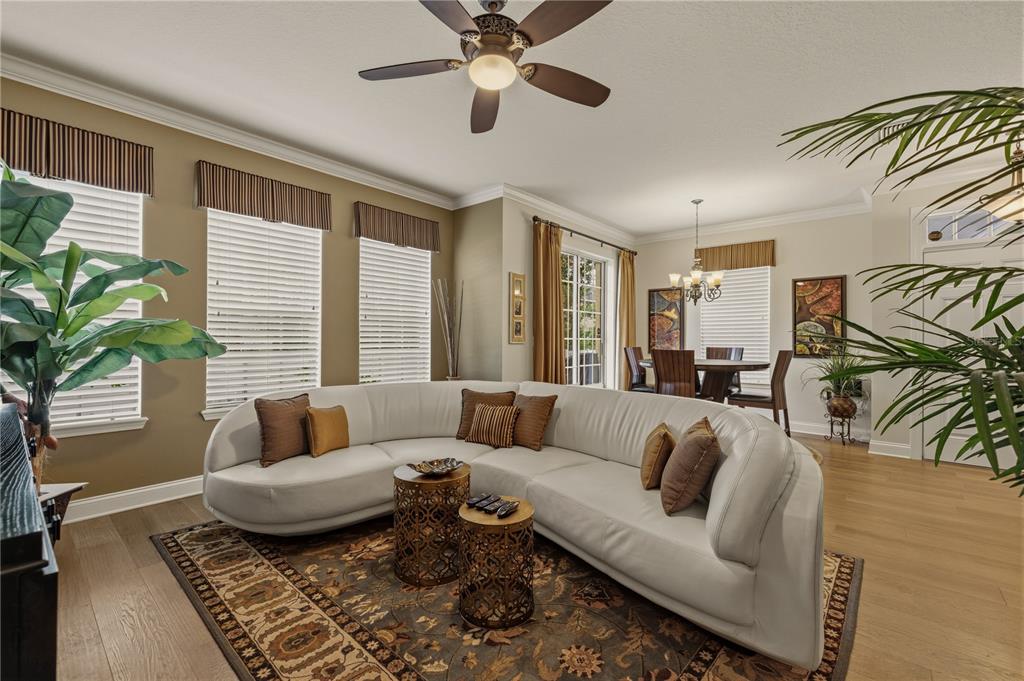 27763 Pleasure Ride Loop Wesley Chapel, FL 33544 - Photo 4 of 34