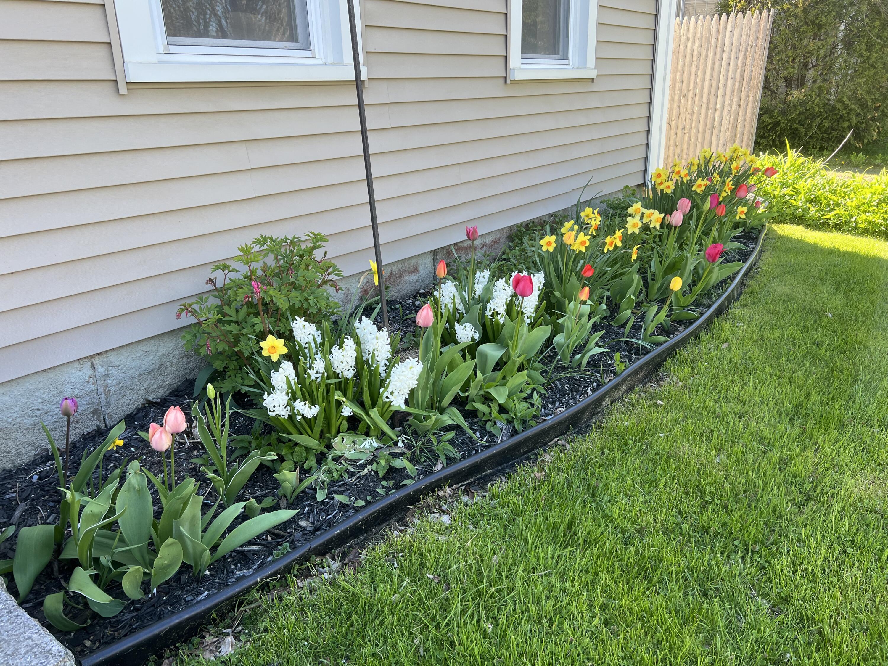 15 Wadsworth Street Thomaston, ME 04861 - Photo 61 of 66 Perennial Flowers Beds