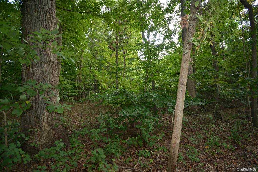 515 Long Beach Road Nissequogue, NY 11780 - Photo 1 of 1
