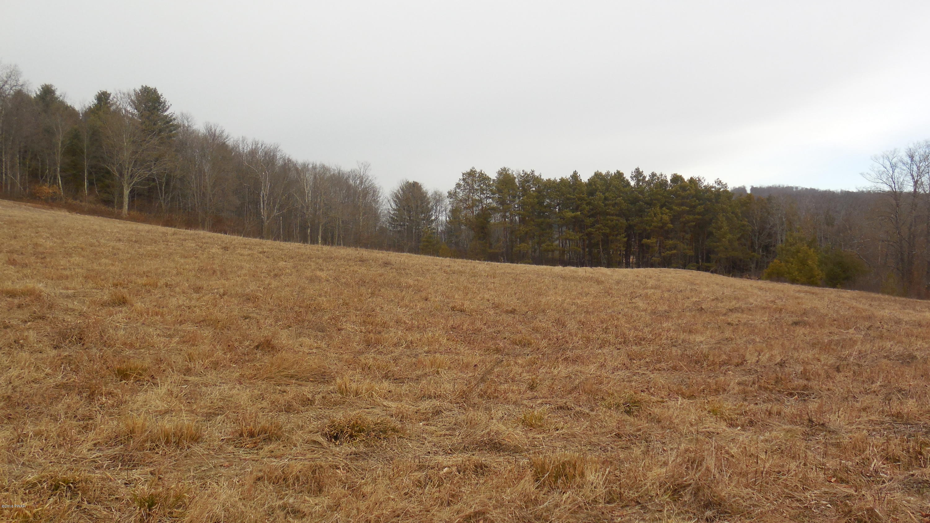 352 Hellmers Hill Road Equinunk, PA 18417 - Photo 18 of 34