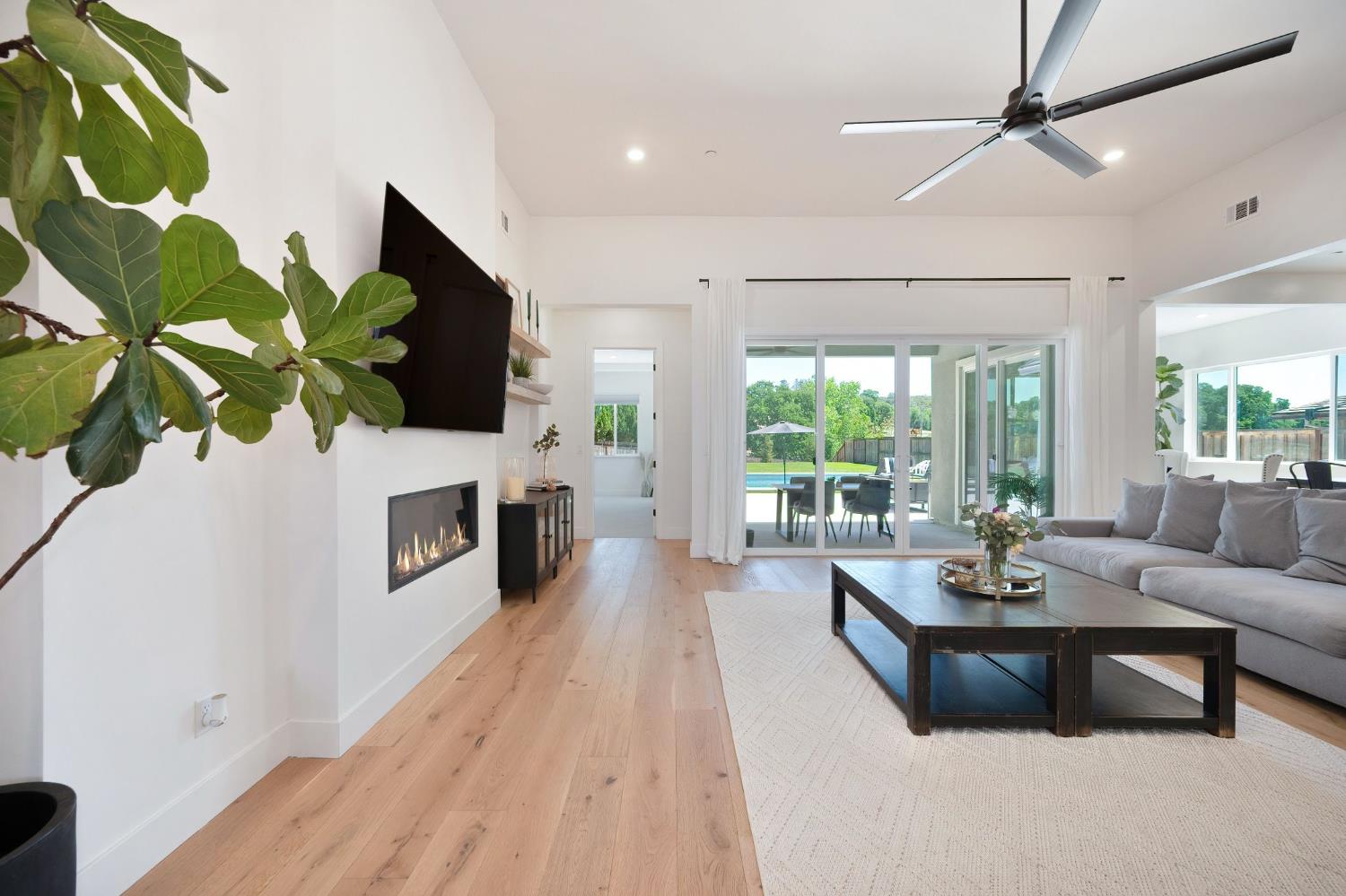5085 Pryor Drive Rescue, CA 95672 - Photo 11 of 50 a living room with furniture a fireplace and a potted plant