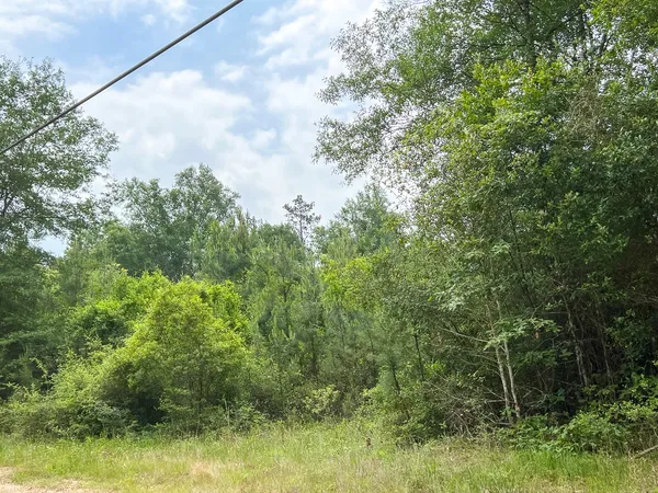 $98,800 | 13 Old Arco Road, Silsbee, TX 77656
