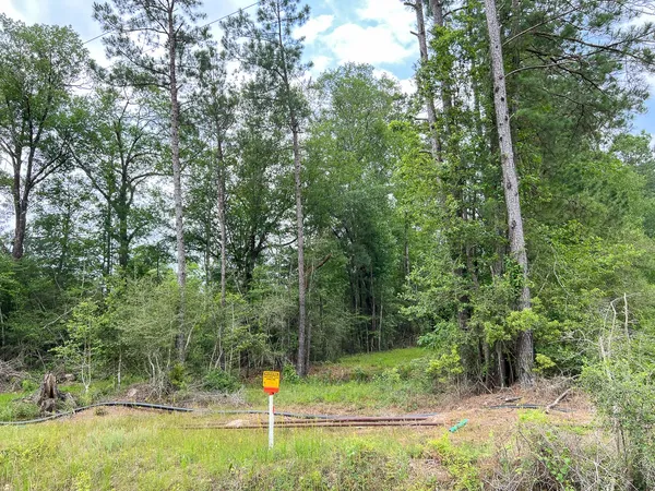 $98,800 | 13 Old Arco Road, Silsbee, TX 77656