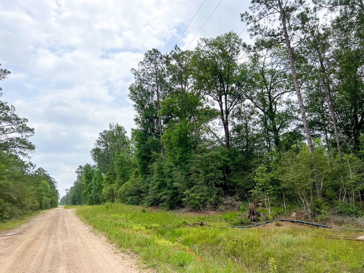13 Old Arco Road Silsbee, TX 77656 - Photo 8 of 8 a view of a backyard