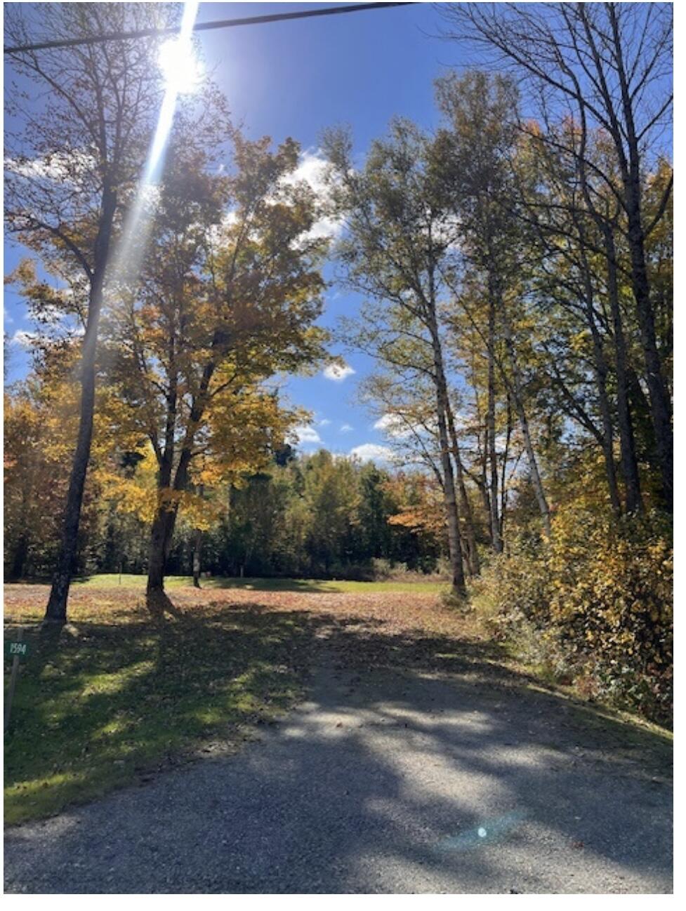 1594 Rangeley Road Phillips, ME 04966 - Photo 7 of 24 Wooded Lot