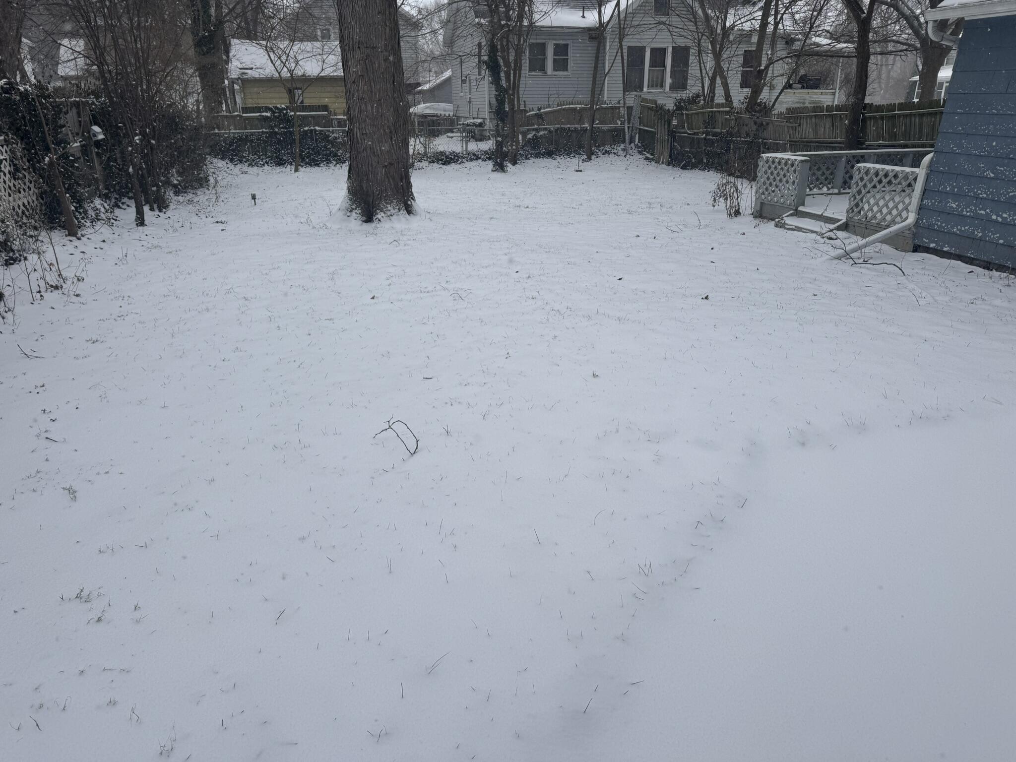 769 Randolph Street Jackson, MI 49203 - Photo 24 of 27 IMG_8024