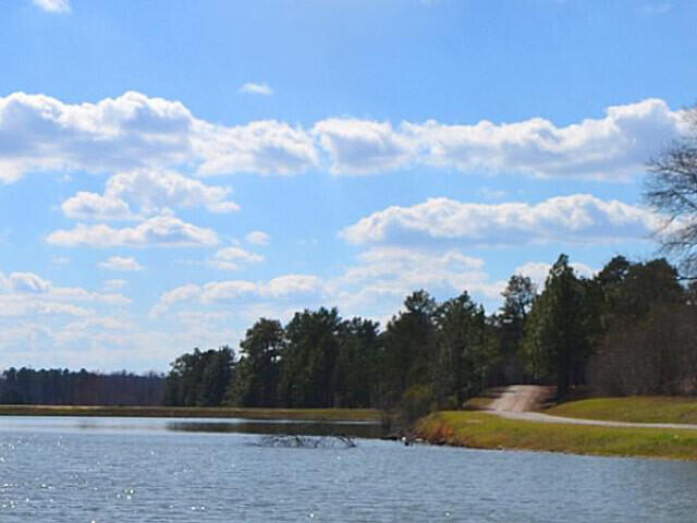 4327 Fish Hatchery Road Dearing, GA 30808 - Photo 30 of 32 McDuffiePFAlake_edited