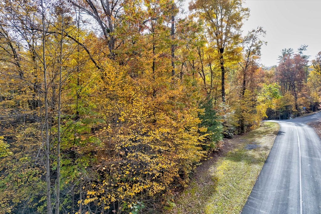 20 Whetstone Road Sevierville, TN 37862 - Photo 5 of 24 Gallery Image 5
