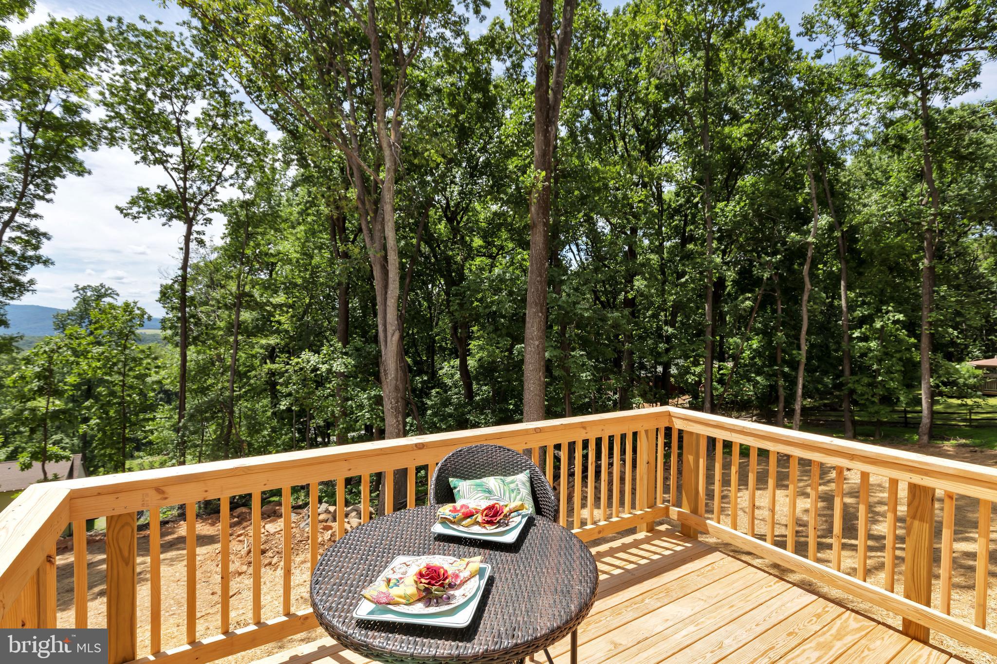 208 Club House Road Front Royal, VA 22630 - Photo 16 of 18 Gallery Image 16