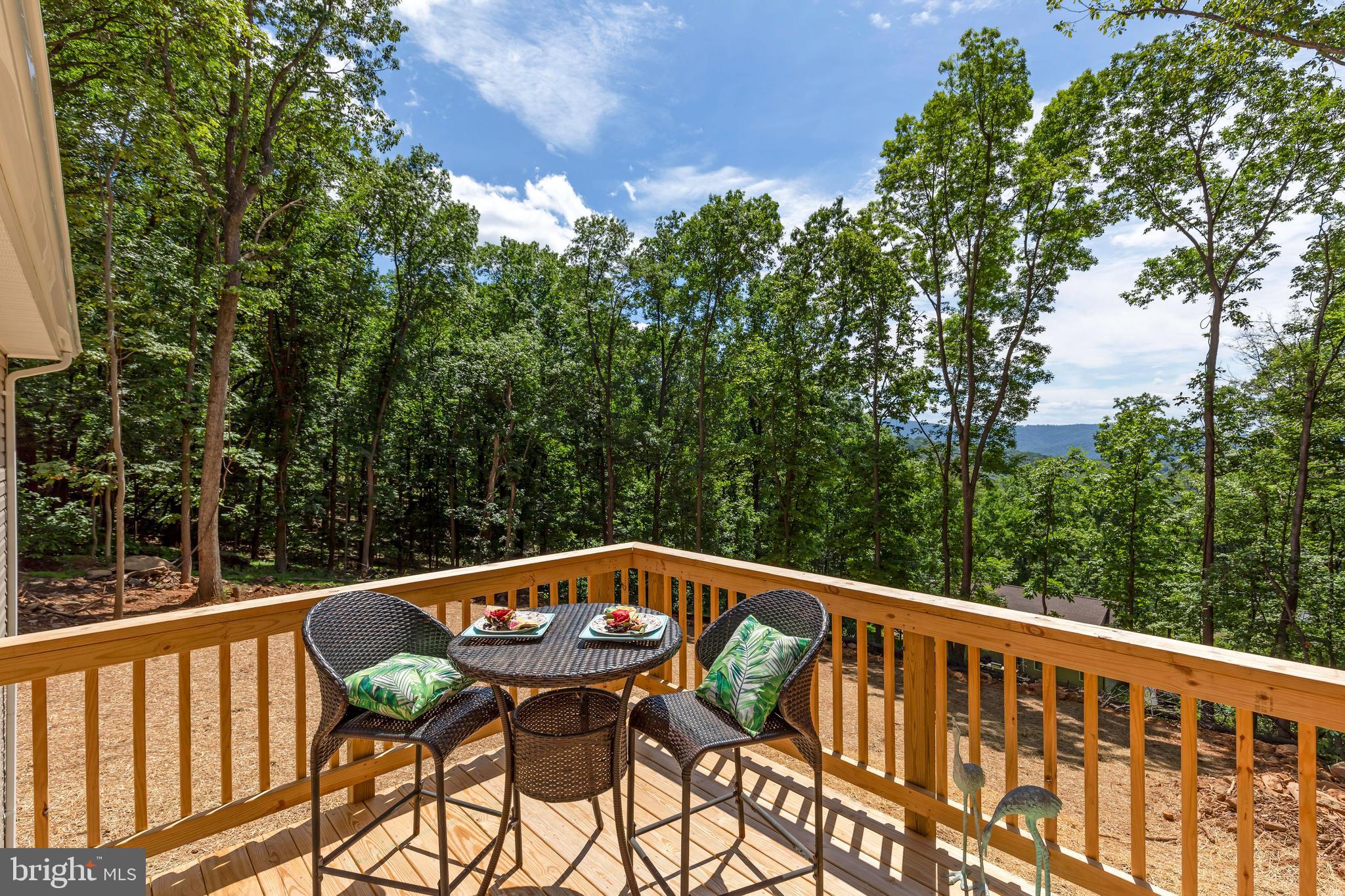 208 Club House Road Front Royal, VA 22630 - Photo 17 of 18 Gallery Image 17